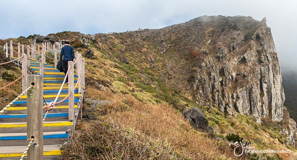 เกาะเชจู
