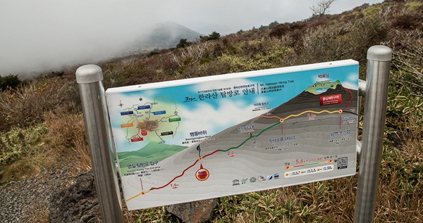 เกาะเชจู