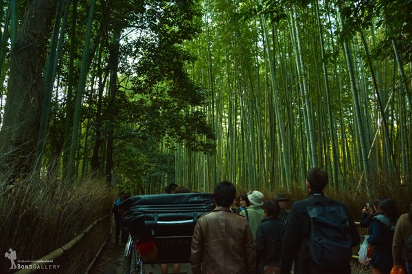 เที่ยวเกียวโตแบบ Slow Travel