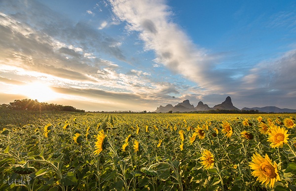 เทื่ยวทั่วประเทศไทย