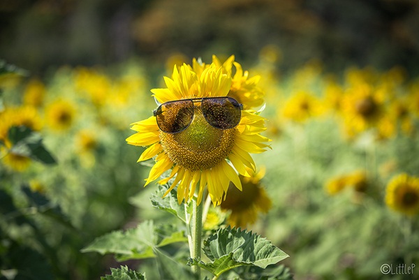 เทื่ยวทั่วประเทศไทย