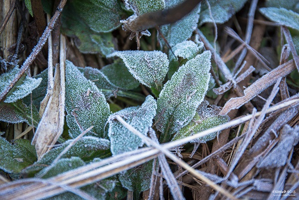 เทื่ยวทั่วประเทศไทย