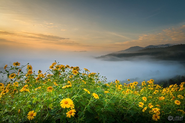 เทื่ยวทั่วประเทศไทย