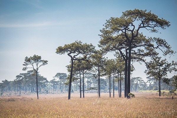 เทื่ยวทั่วประเทศไทย