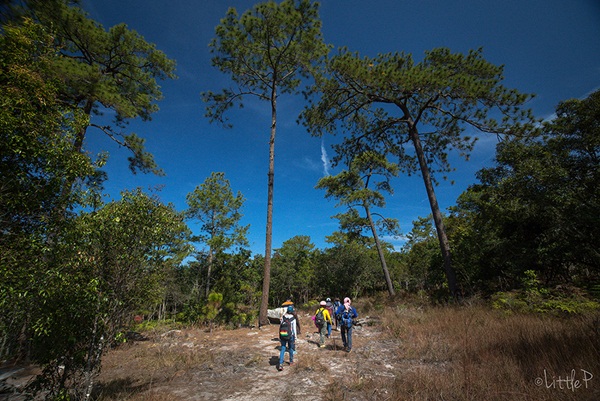 เทื่ยวทั่วประเทศไทย