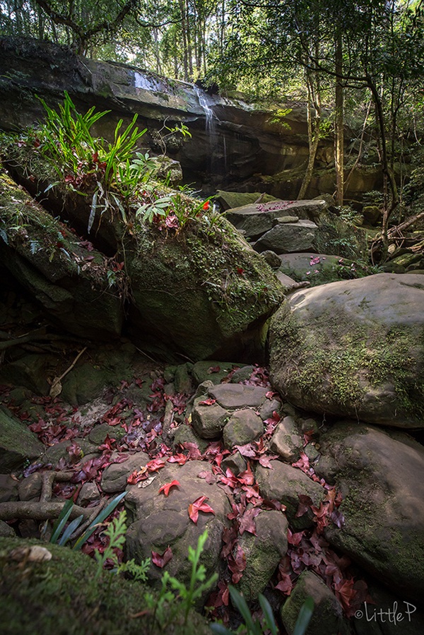 เทื่ยวทั่วประเทศไทย