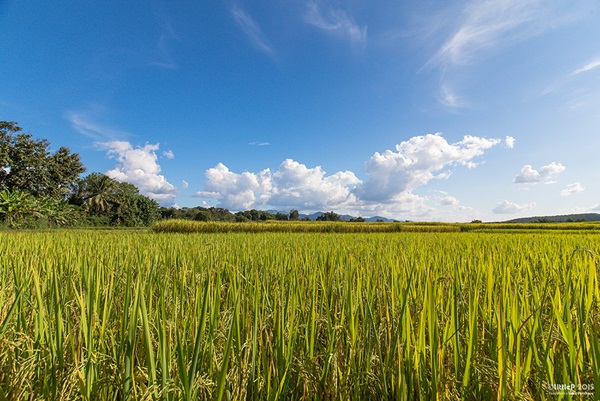 เทื่ยวทั่วประเทศไทย