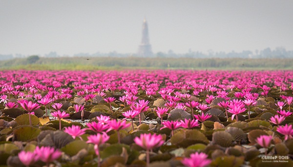 เทื่ยวทั่วประเทศไทย