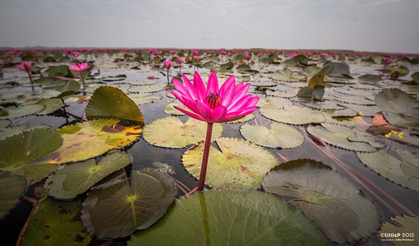 เทื่ยวทั่วประเทศไทย