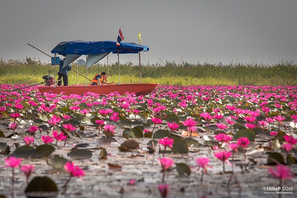 เทื่ยวทั่วประเทศไทย