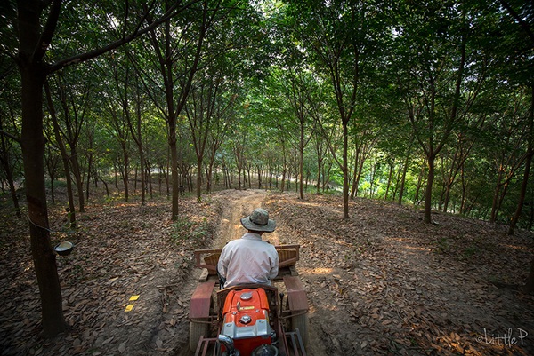 เทื่ยวทั่วประเทศไทย