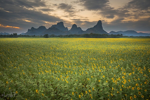 เทื่ยวทั่วประเทศไทย