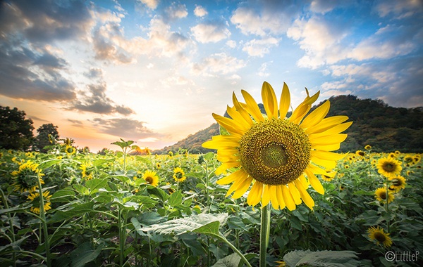 เทื่ยวทั่วประเทศไทย