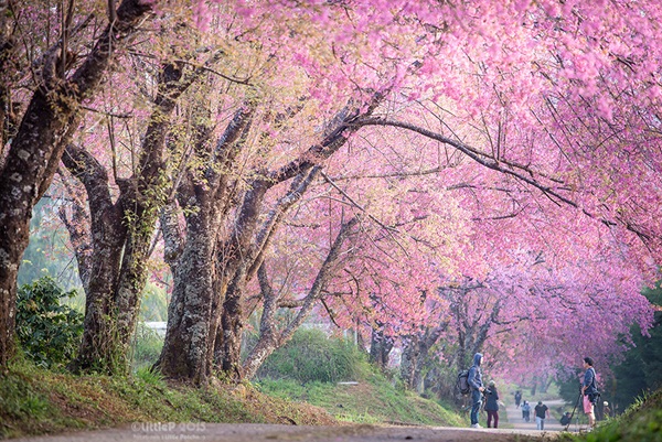 เทื่ยวทั่วประเทศไทย