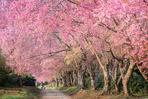 เทื่ยวทั่วประเทศไทย
