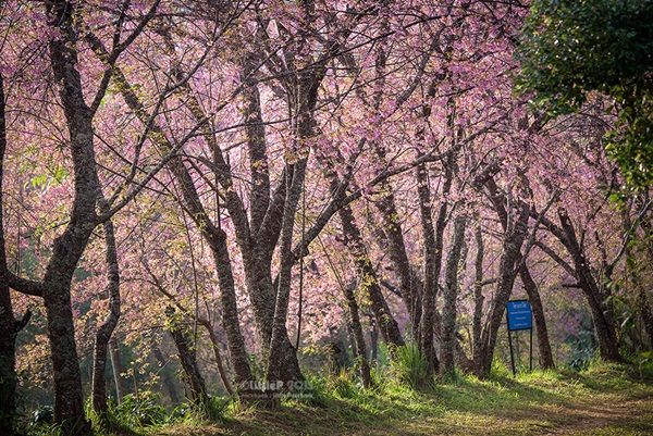 เทื่ยวทั่วประเทศไทย