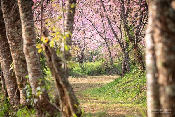 เทื่ยวทั่วประเทศไทย