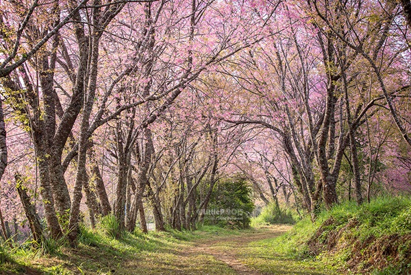 เทื่ยวทั่วประเทศไทย