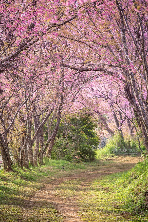 เทื่ยวทั่วประเทศไทย