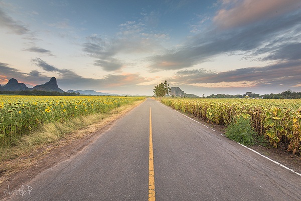 เทื่ยวทั่วประเทศไทย