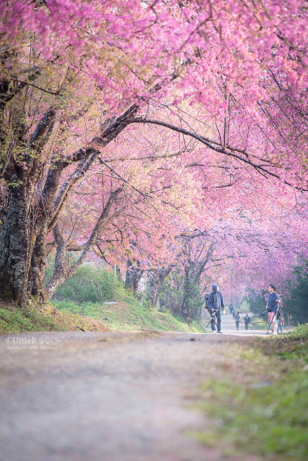 เทื่ยวทั่วประเทศไทย