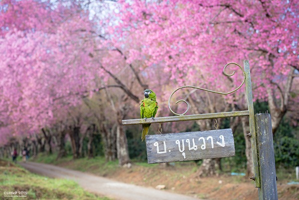 เทื่ยวทั่วประเทศไทย