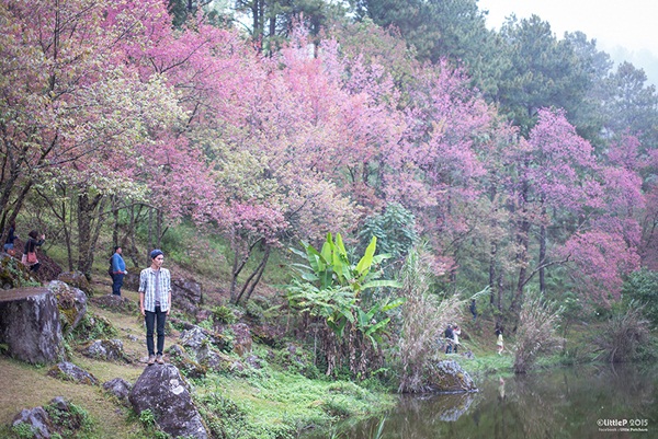 เทื่ยวทั่วประเทศไทย