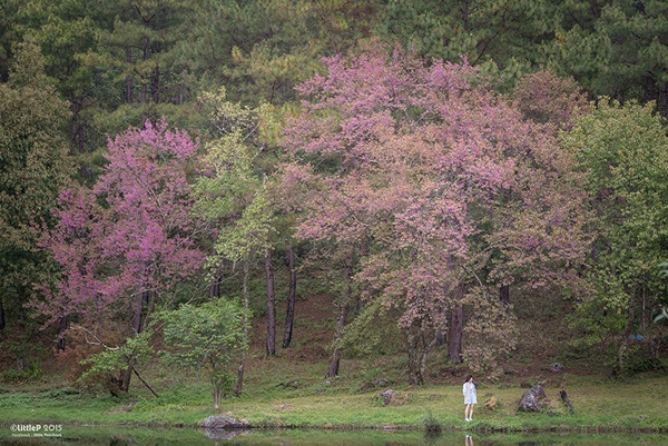 เทื่ยวทั่วประเทศไทย