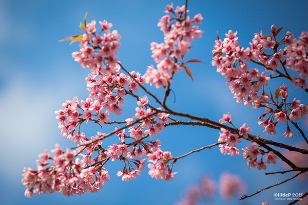 เทื่ยวทั่วประเทศไทย