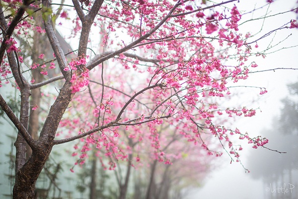 เทื่ยวทั่วประเทศไทย