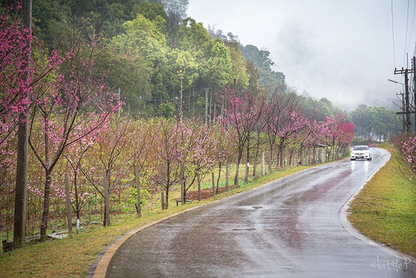 เทื่ยวทั่วประเทศไทย