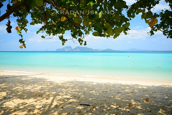 เกาะกระดาน