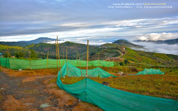 ภูทับเบิก