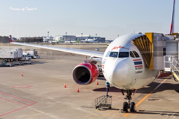 ซากุระบานกลางโตเกียว