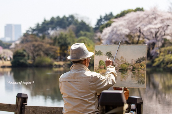 ซากุระบานกลางโตเกียว