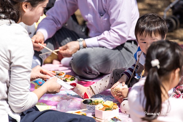 ซากุระบานกลางโตเกียว