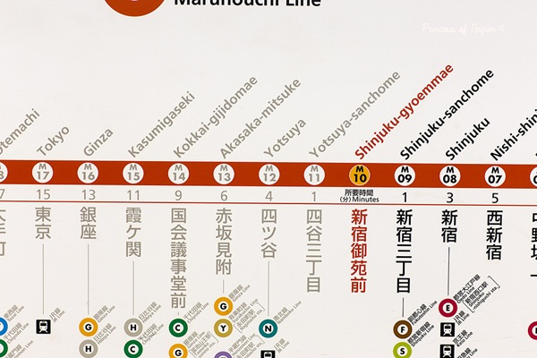 ซากุระบานกลางโตเกียว