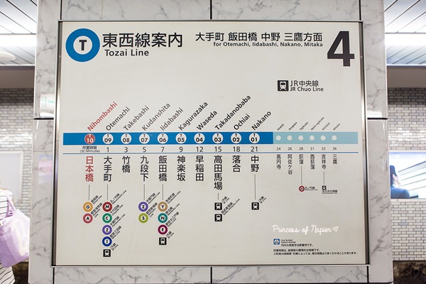 ซากุระบานกลางโตเกียว