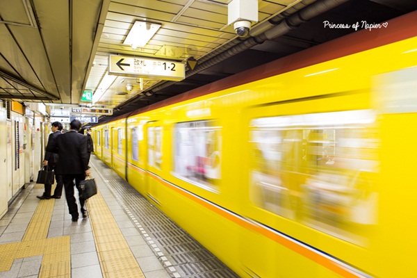 ซากุระบานกลางโตเกียว