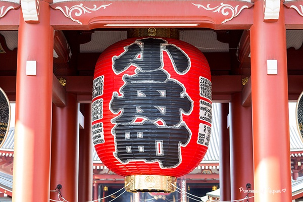 ซากุระบานกลางโตเกียว