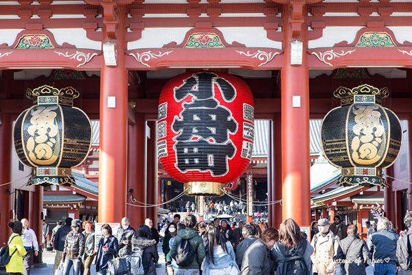 ซากุระบานกลางโตเกียว