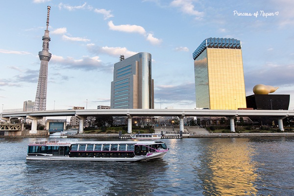 ซากุระบานกลางโตเกียว