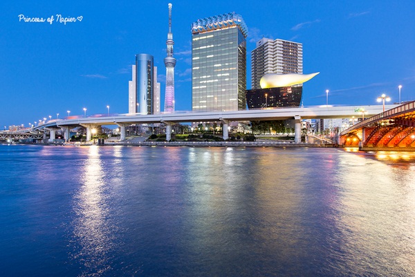 ซากุระบานกลางโตเกียว