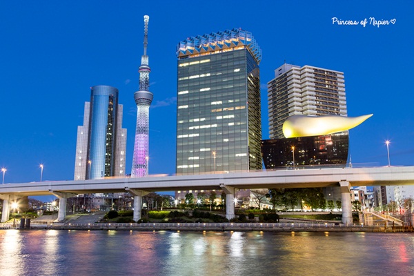 ซากุระบานกลางโตเกียว