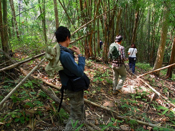 กาลครั้งหนึ่ง ณ โมโกจู