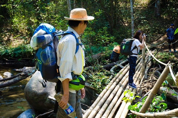 กาลครั้งหนึ่ง ณ โมโกจู