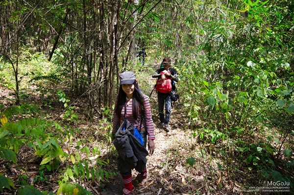 กาลครั้งหนึ่ง ณ โมโกจู