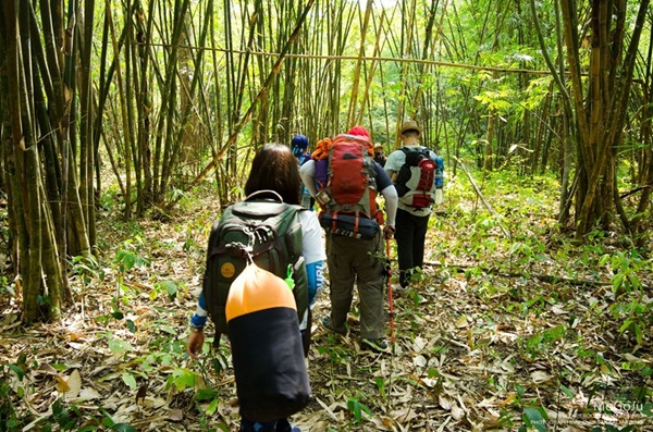 กาลครั้งหนึ่ง ณ โมโกจู