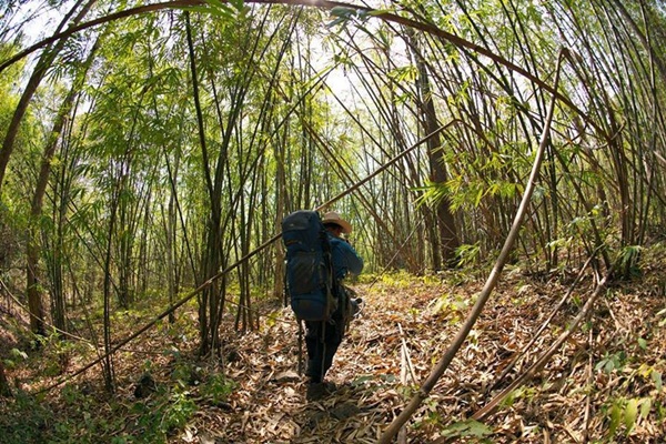 กาลครั้งหนึ่ง ณ โมโกจู