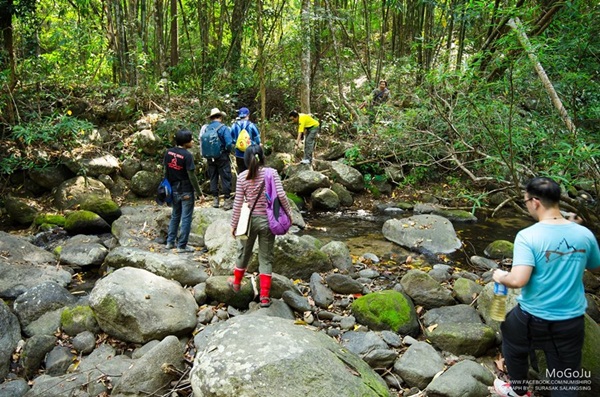 กาลครั้งหนึ่ง ณ โมโกจู